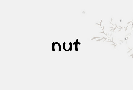 nut是什么意思 nut是什么