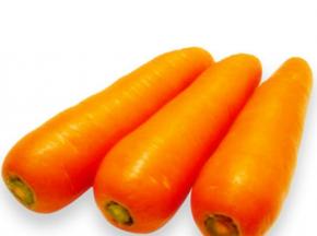 carrot是什么意思