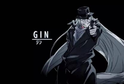 gin是什么意思 gin是什么