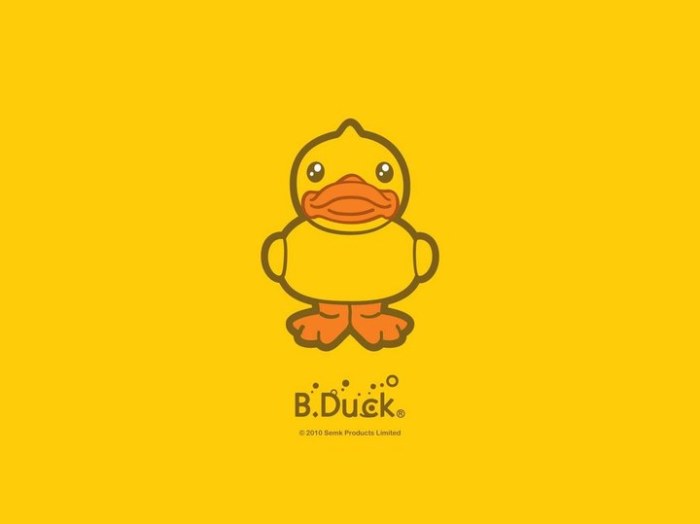 duck是什么意思 duck是什么